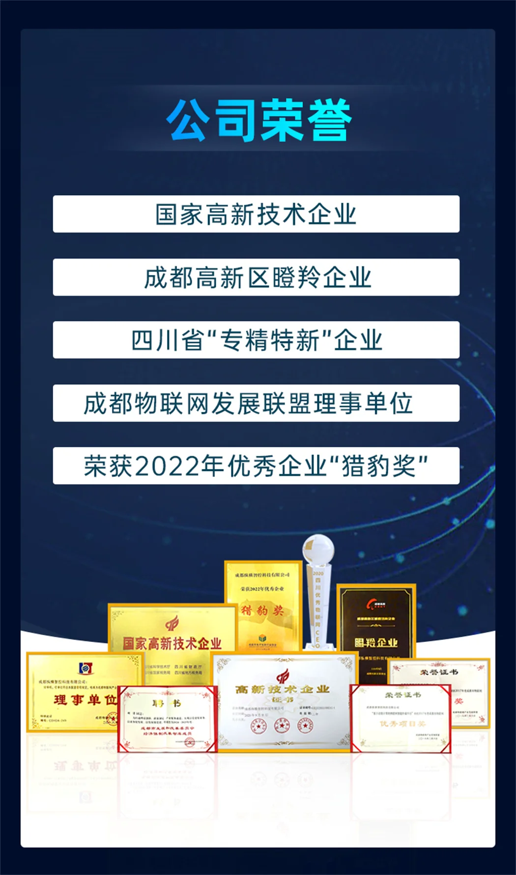 企業(yè)榮譽(yù)介紹